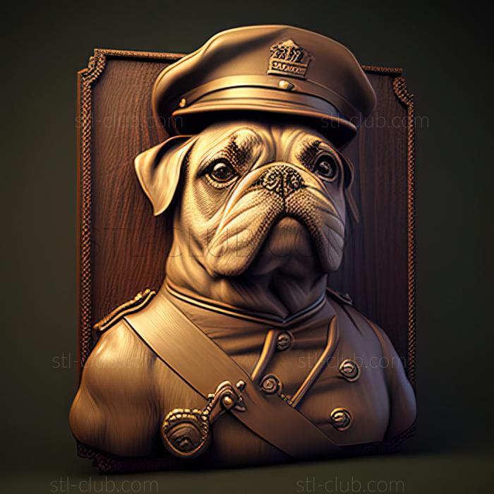 st Sergeant Stubby famous animal